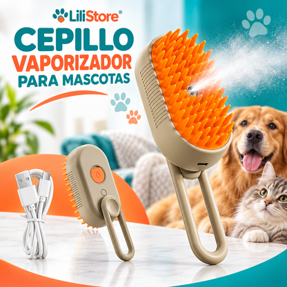 CEPILLO VAPOR DE MASAJE