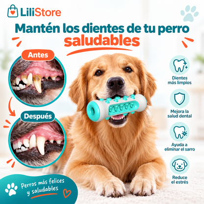 JUGUETE LIMPIADOR DIENTES