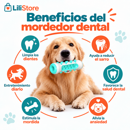 JUGUETE LIMPIADOR DIENTES