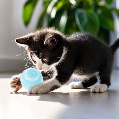BOLA DE JUGUETE INTERACTIVO PARA GATOS